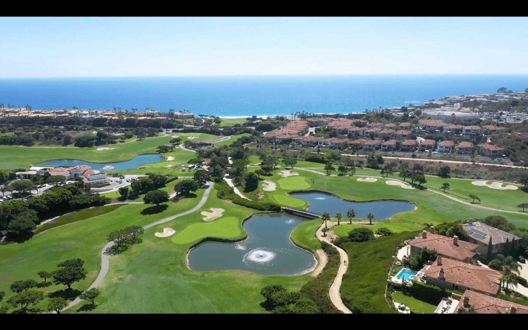 Backyard Oasis W Fire Table Walk To Salt Creek Beach Dana Point Dreams المظهر الخارجي الصورة